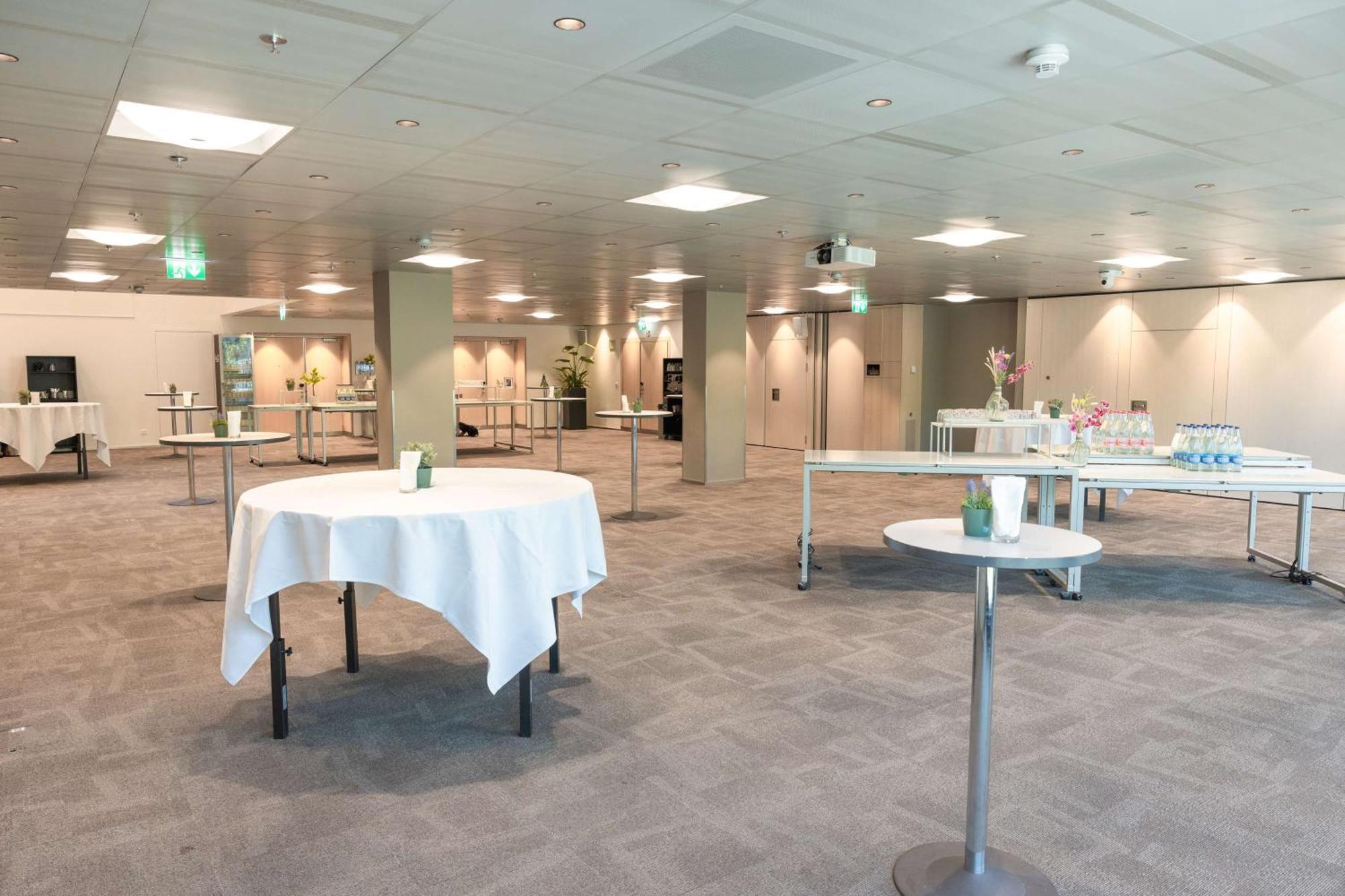 Radisson Blu Hotel, Hotel 4*